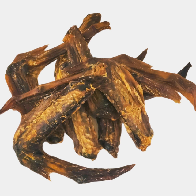 DUCK WINGS🦆🦆- 2 Pack