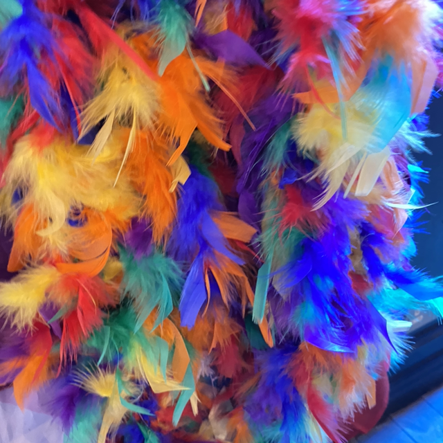 Rainbow feather boa