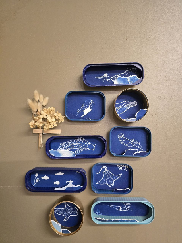 Boites de sardines - Cyanoboites