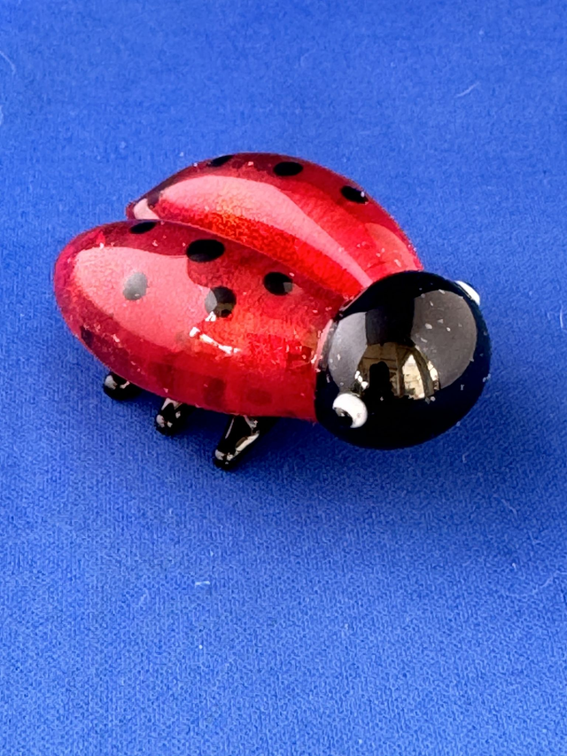 Ladybird