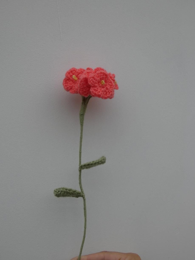 Pompon de myosotis abricot 