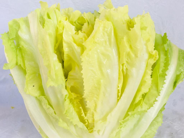 INSALATA SCAROLA 1 PEZZO