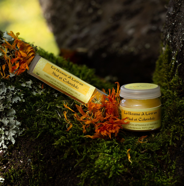 Baume à lèvres Miel et Calendula 