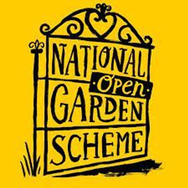 NGS Luxury Christmas Wreath Workshop ~ 09.12.25 ~ 6pm - 9pm  