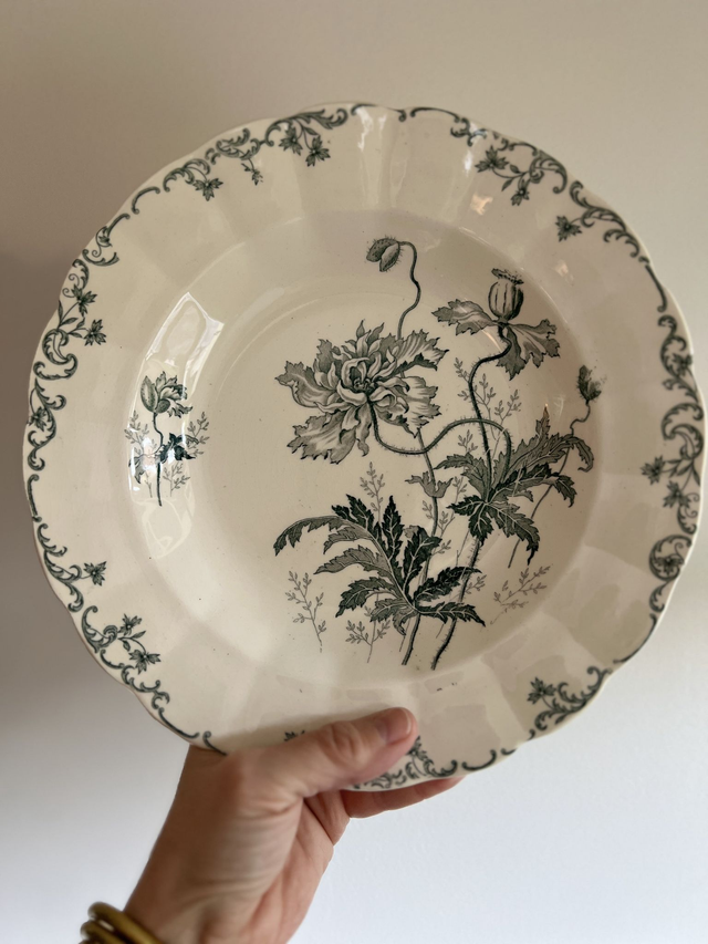 **RESERVEE** PAVOTS GRIS-VERT - Suite de 6 assiettes creuses modèle Pavots par la manufacture française Choisy le Roi (H. Boulenger) - Terre de Fer