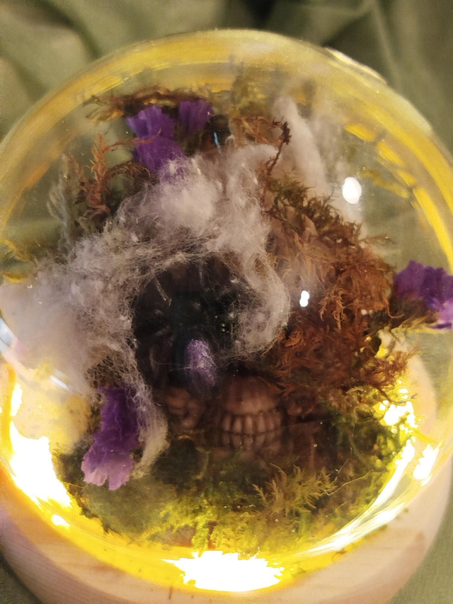 Globe lumineux crâne et araignée 