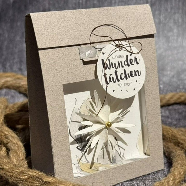 Kleine Tüte mit Rückwand (186)