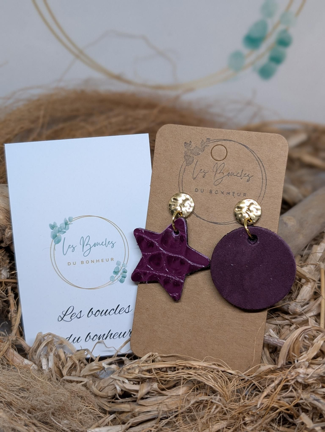 Boucles d&#039;oreilles Asymétrique aubergine as052