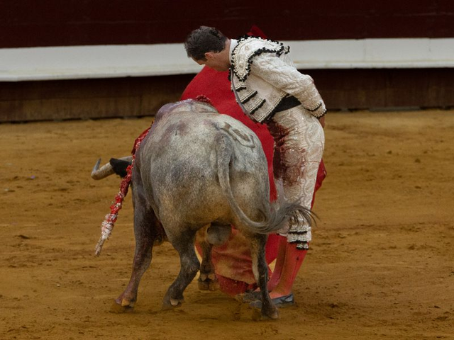 DANIEL LUQUE ENCERRONA II