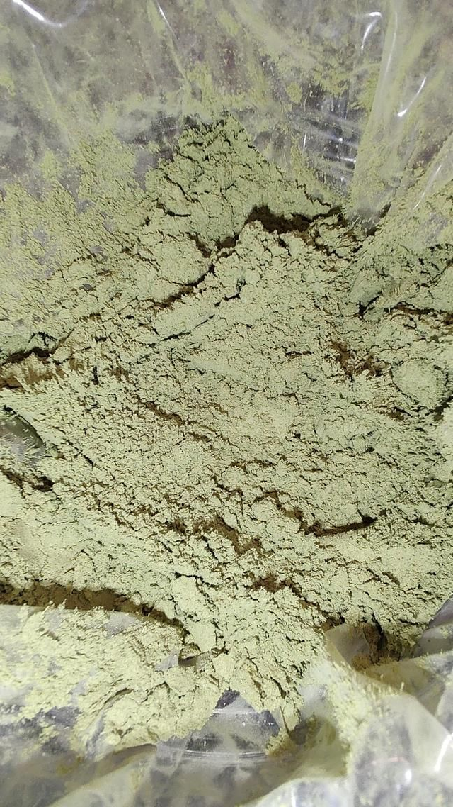 Maringa Oleifera (Wonderboom) gemalen