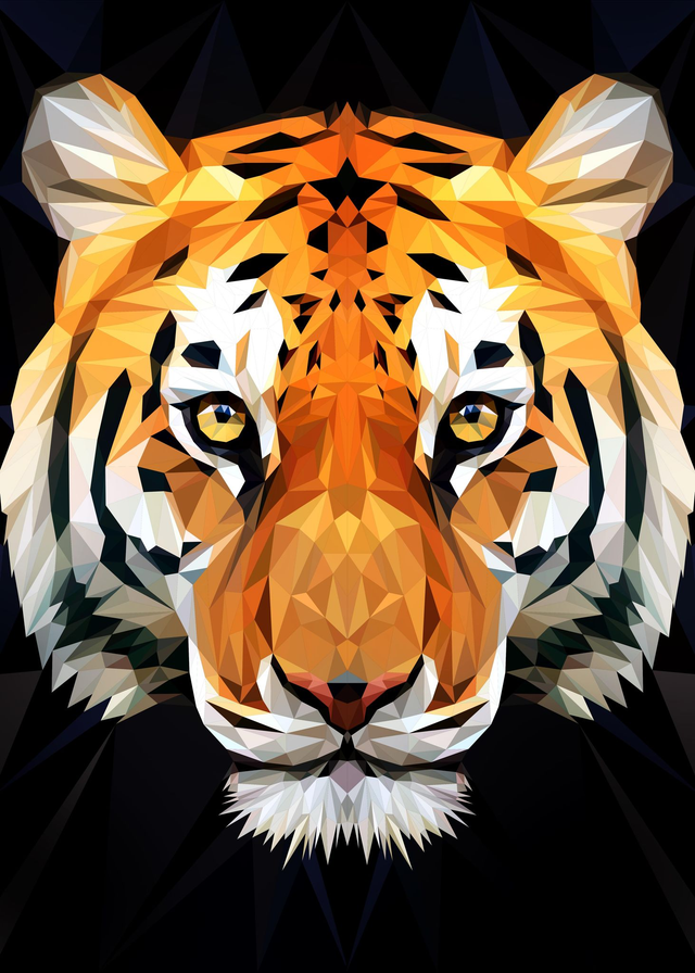 Poster Tigre low poly