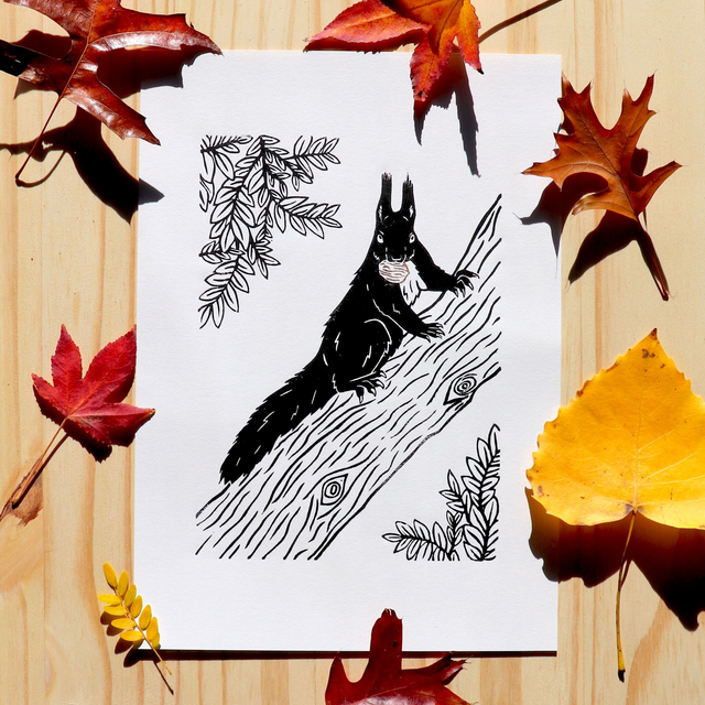 Linogravure A4 Ecureuil