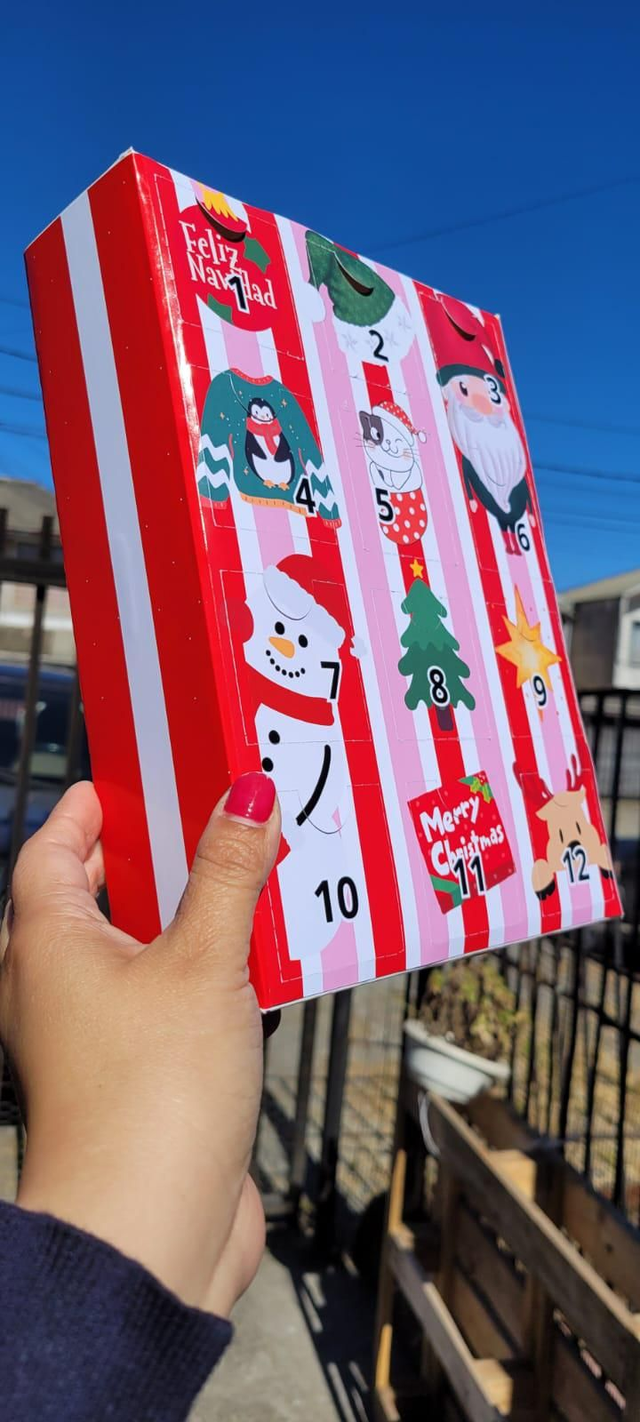 Calendario individual para 12 dias