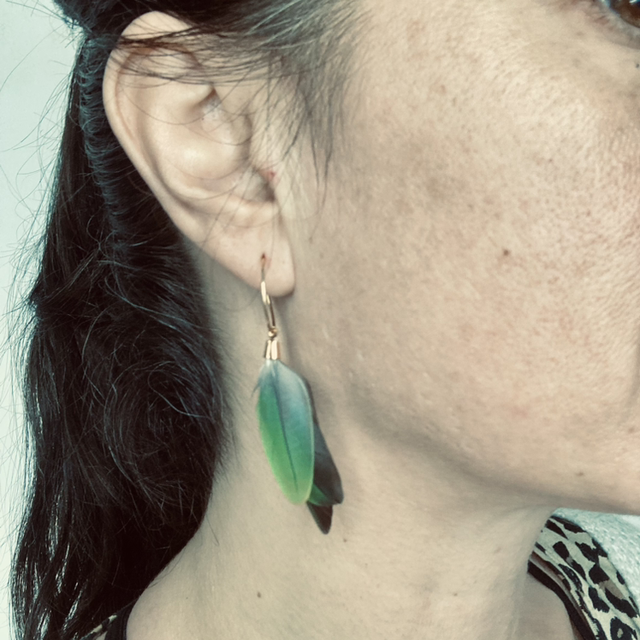 Boucle d’oreille créoles fine en plumes d’inséparables vertes et grises