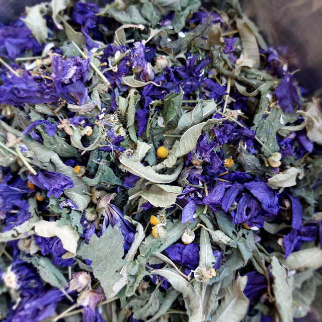 Potion un trésor arrive 