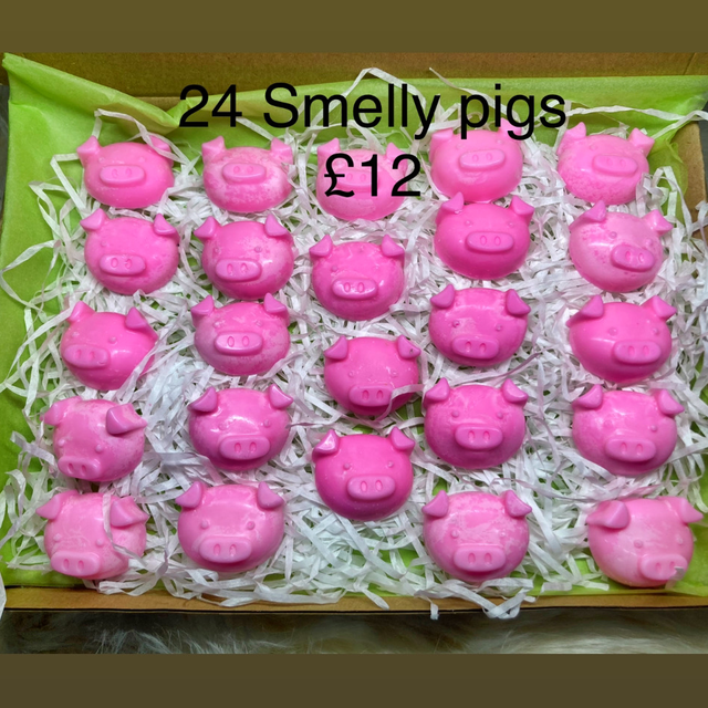 Smelly Pigs x24