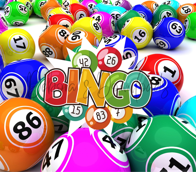 BINGO 28th February 2026 1900-2300 eyes down at 1930