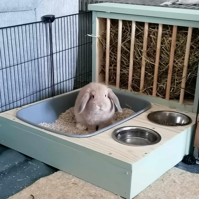 Lapi'Box' Medium + gamelles / Longueur