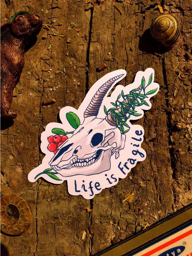 Life Is Fragile Single Sticker