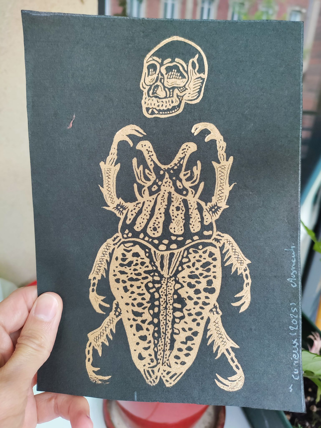 Impression Linogravure "cabinet de curiosité" impressions aléatoires format A5, grand scarabé