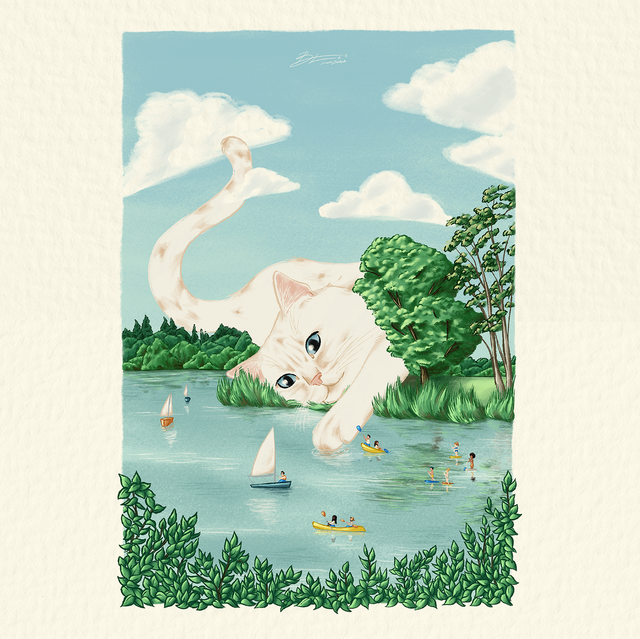 Chat au Lac de Maine