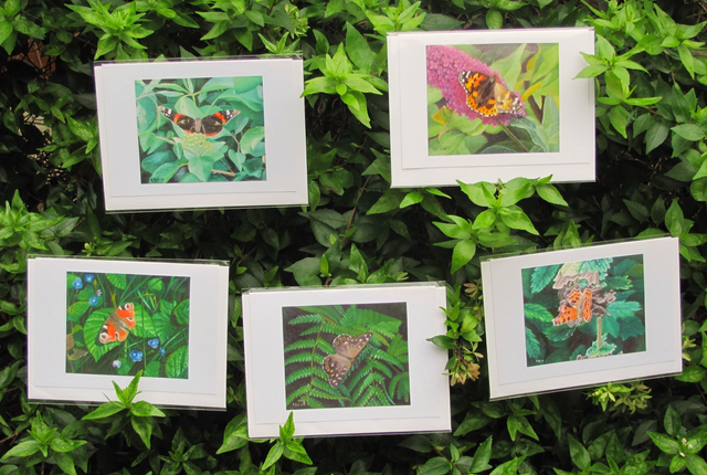 British butterflies 5 greetings card set