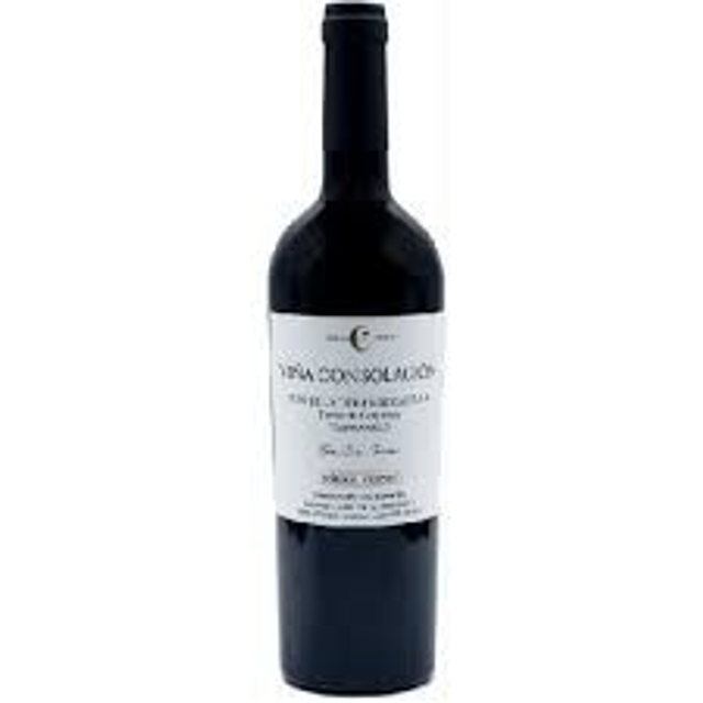 Viña Consolación - Tempranillo - 2023 Tierra de Castilla - Espagne
