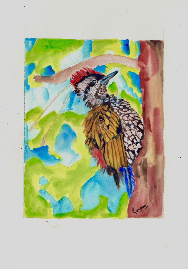 Woodpecker - A4 print