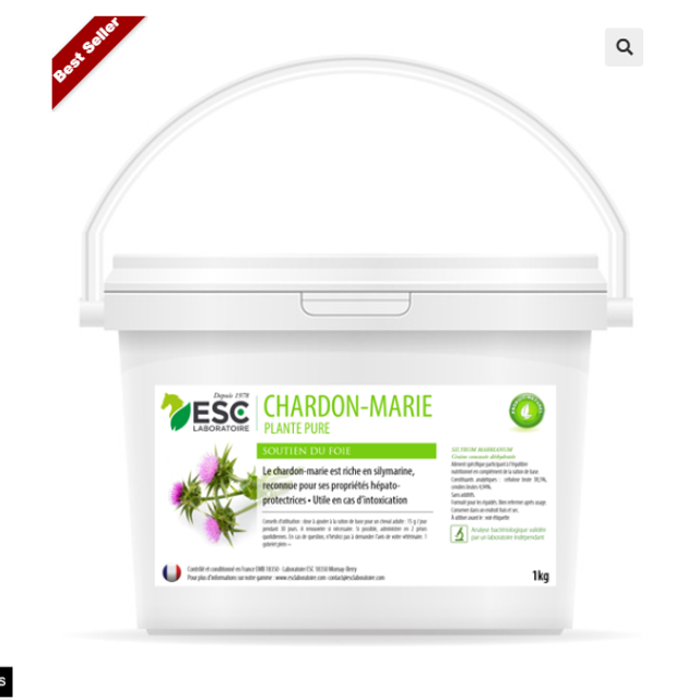 CHARDON-MARIE – Détox foie cheval – Plante pure