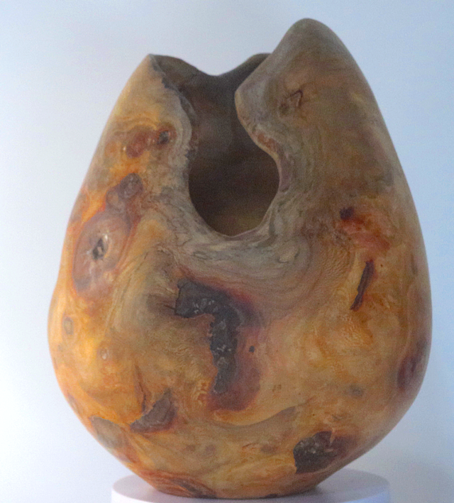 Eivorm - Plataan knot 