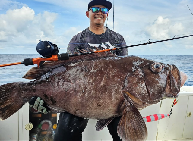 Canne Daiwa Specter Slow Jig 1m83 B4/B5/B6 