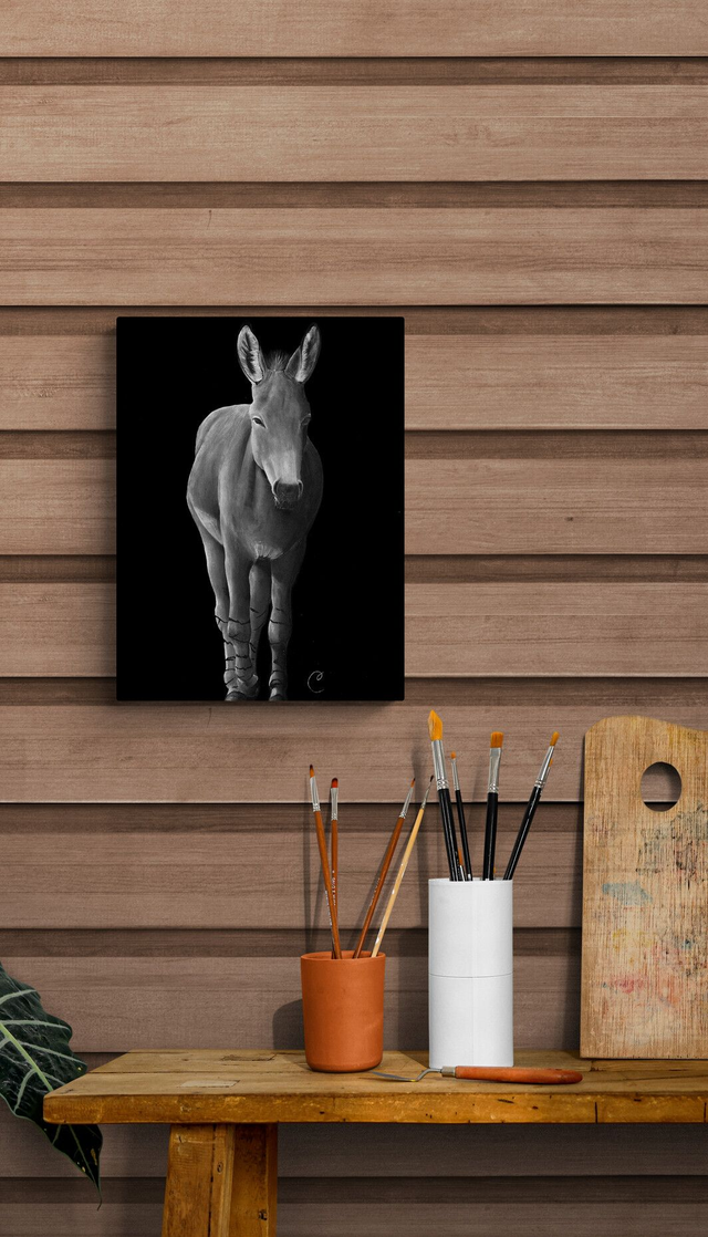 Reproduction Aquarelle Ane sauvage d&#039;Afrique sur Alu - Tirage limité, numéroté et signé - 30x40 cm