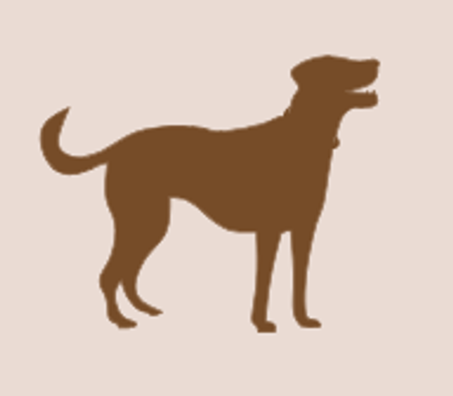 Gardiennage Chien (2x par jour, sans balade)