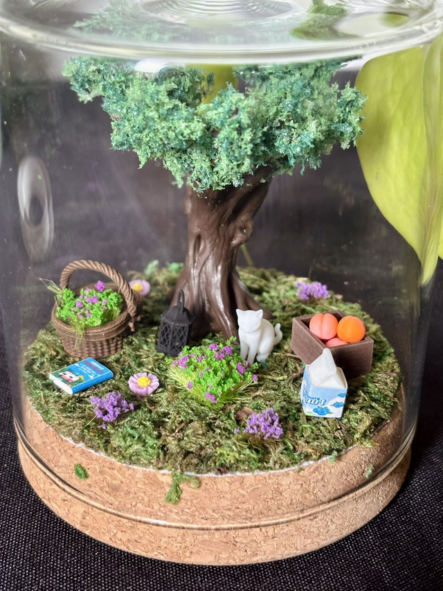 đ Terrarium verre 10cm - Ădition Ă©tĂ©