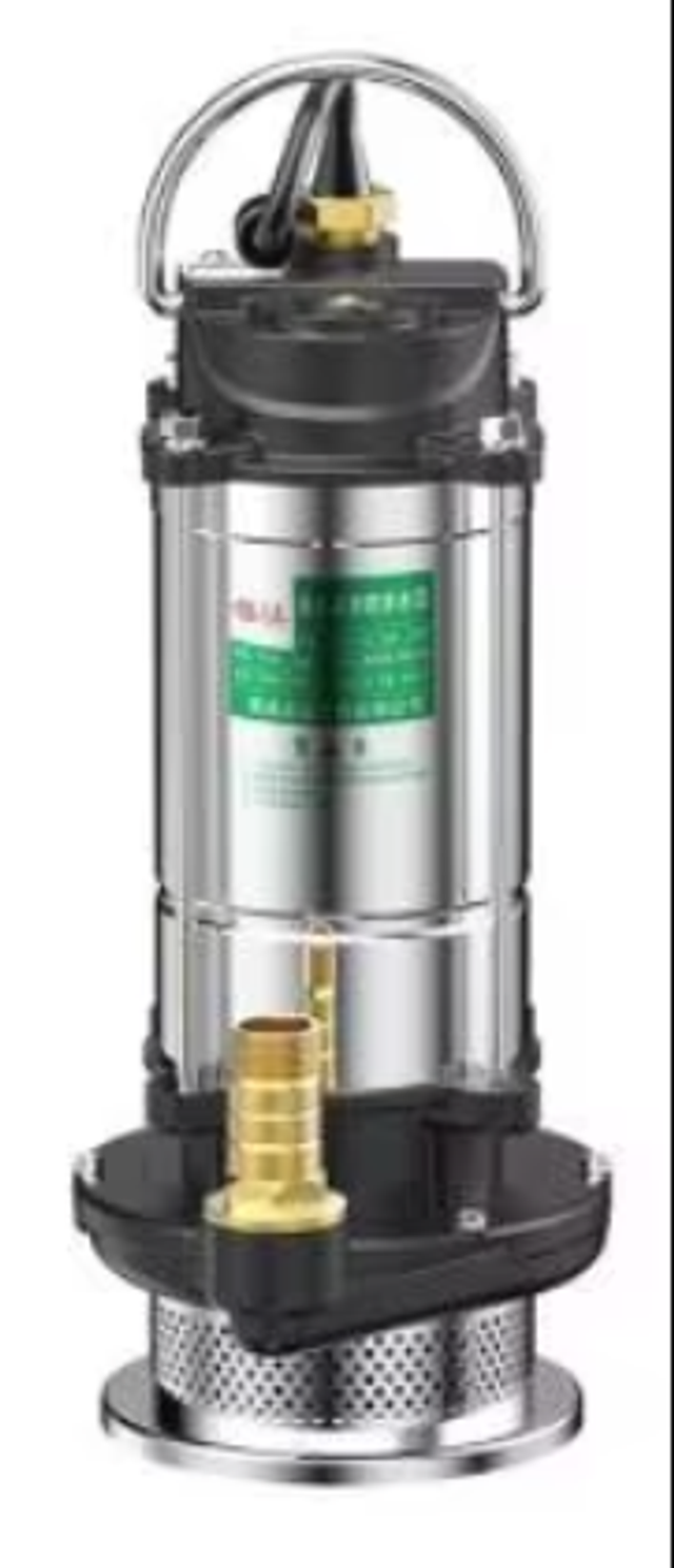 Professionele Dompelpomp 750 Watt van RVS 230V