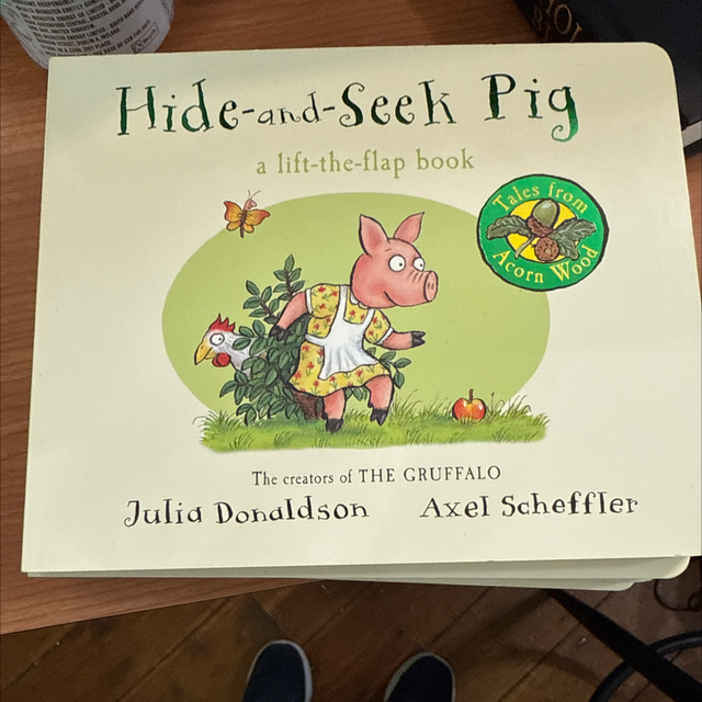 Hide and Seek Pig
