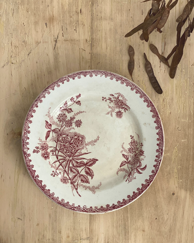 Assiette Ste Amandinoise Margot plate (x1)