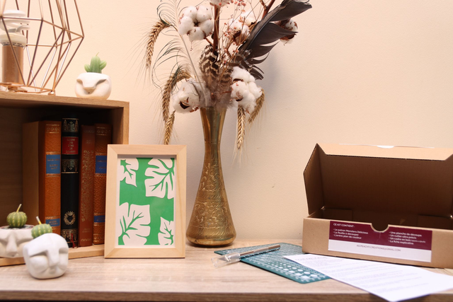 Kit de Kirigami Monstera