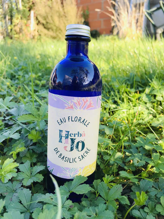 Eau Florale de Basilic Sacré