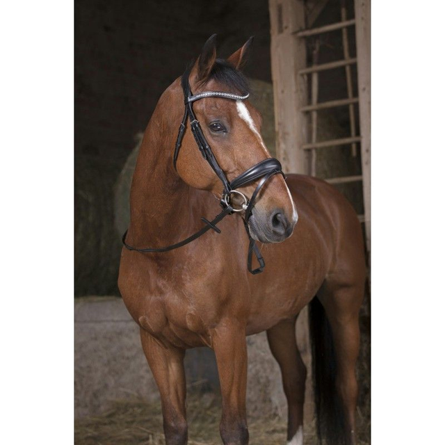 RÊNES GRIP NORTON PRO