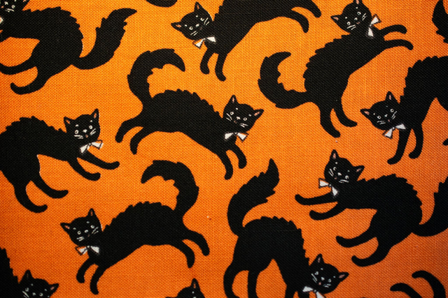 Sweet Tooth - Scaredy Cat  Orange / Poppie Cotton