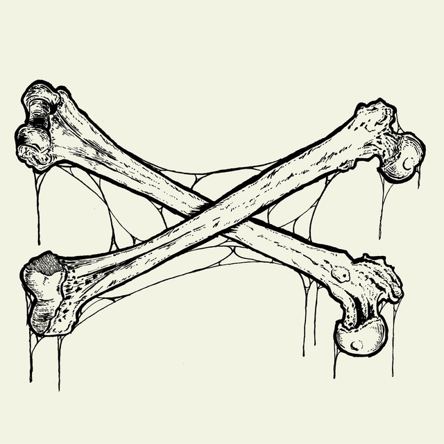 Bones