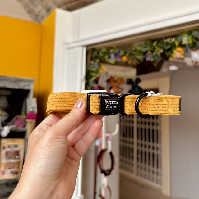 Pet Pooch Boutique Mustard Yellow Cord Dog Collar - Medium