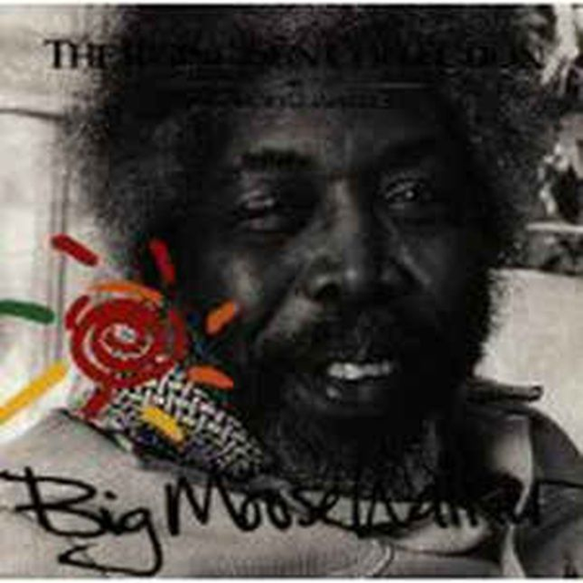 Big Moose Walker - The Rising Sun Collection  Audio CD