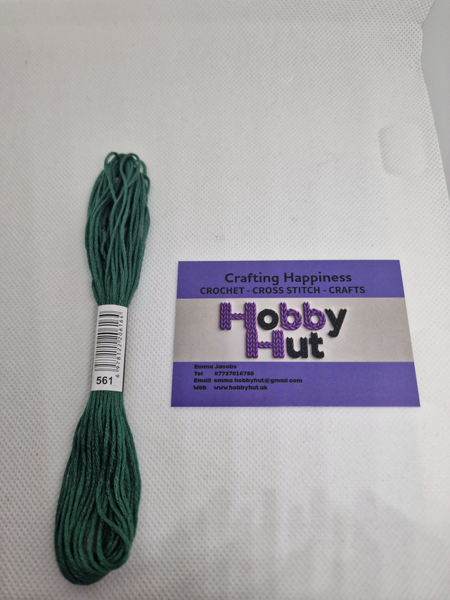 Embroidery Thread - 561