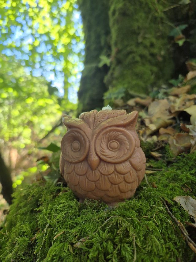 Alfred 🦉