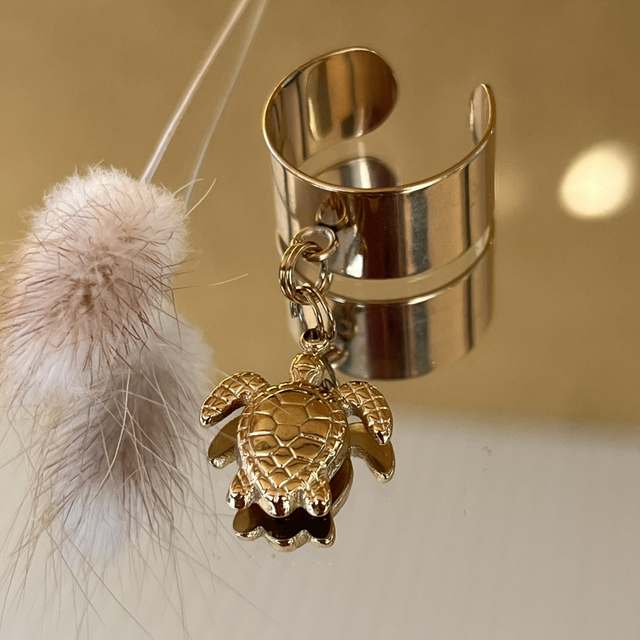 Tortue dorée - Pièce Unique 