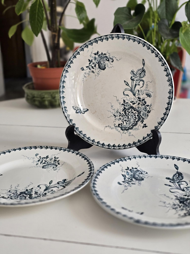 Assiettes plates Ste Amandinoise 