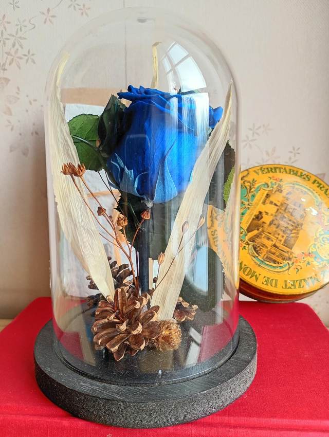 S02 je t&#039;aime en bleu