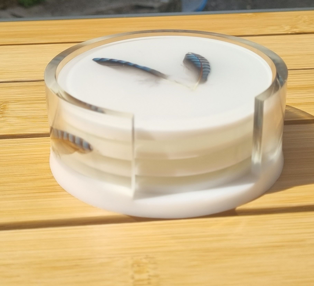 Dessous de verres avec des plumes